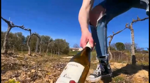 Wine culture (creation exercice)